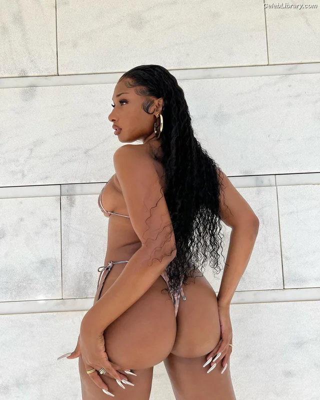 Megan Thee Stallion photo 21 of 1985