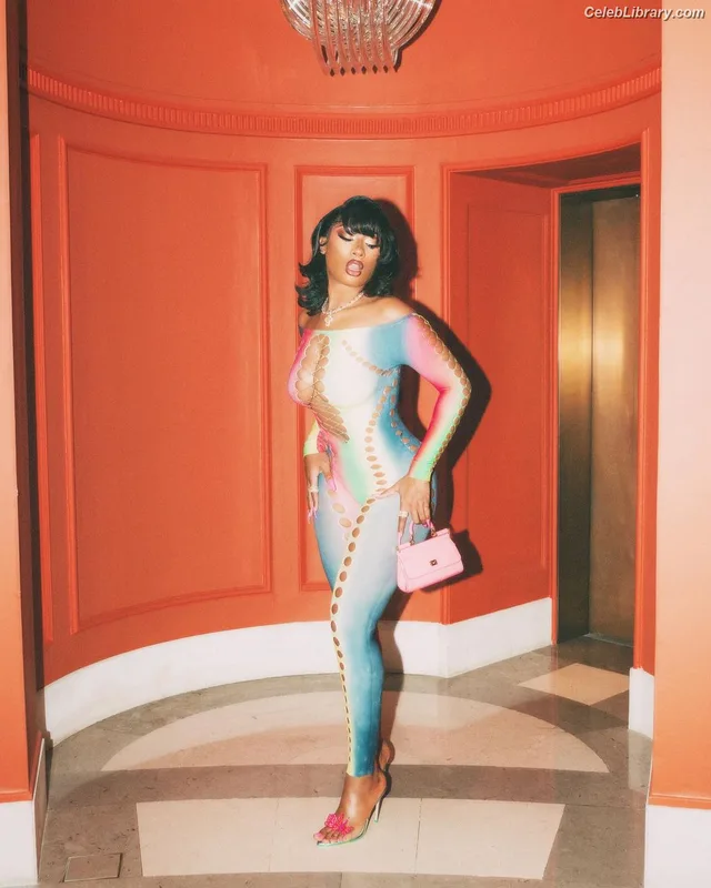 Megan Thee Stallion photo 10 of 1985