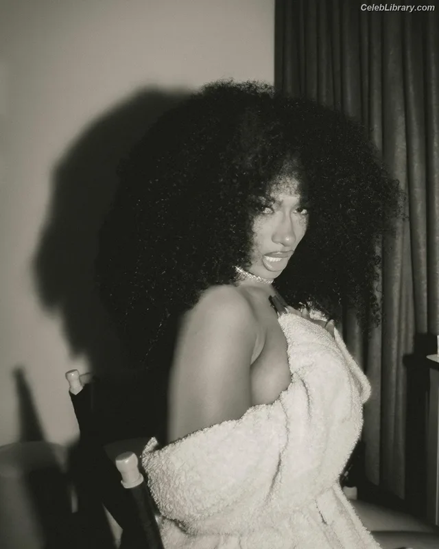Megan Thee Stallion photo 8 of 1985