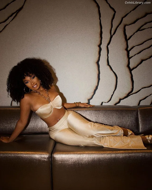 Megan Thee Stallion photo 1 of 1985