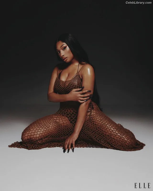 Megan Thee Stallion photo 21 of 1985