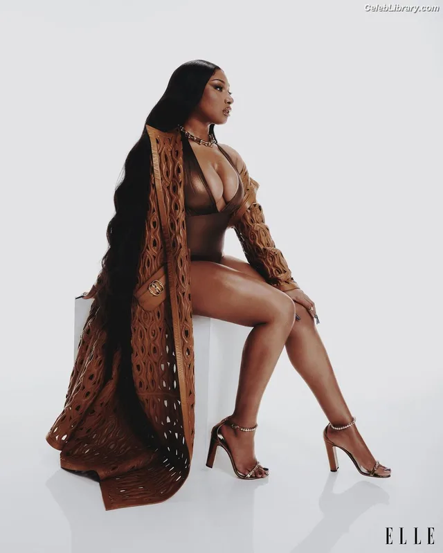 Megan Thee Stallion photo 22 of 1985