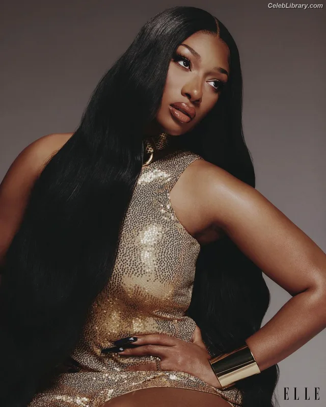 Megan Thee Stallion photo 24 of 1985