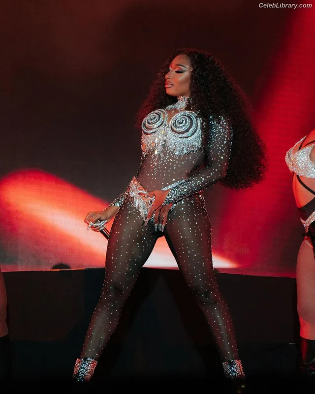 Megan Thee Stallion photo 13 of 1985