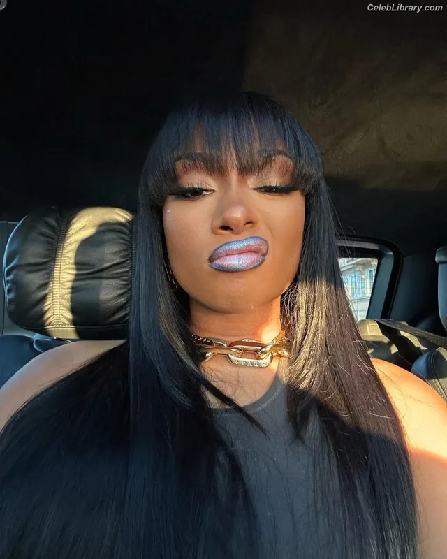 Megan Thee Stallion photo 19 of 1985