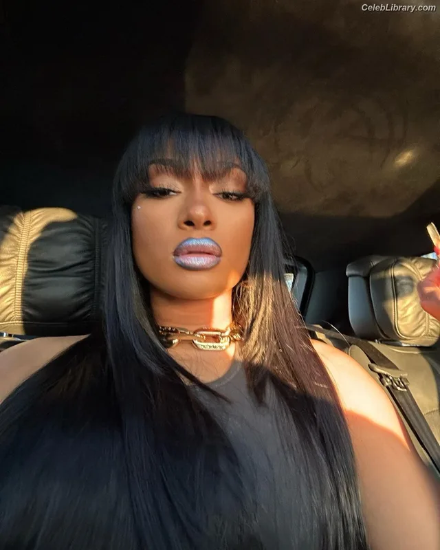 Megan Thee Stallion photo 21 of 1985