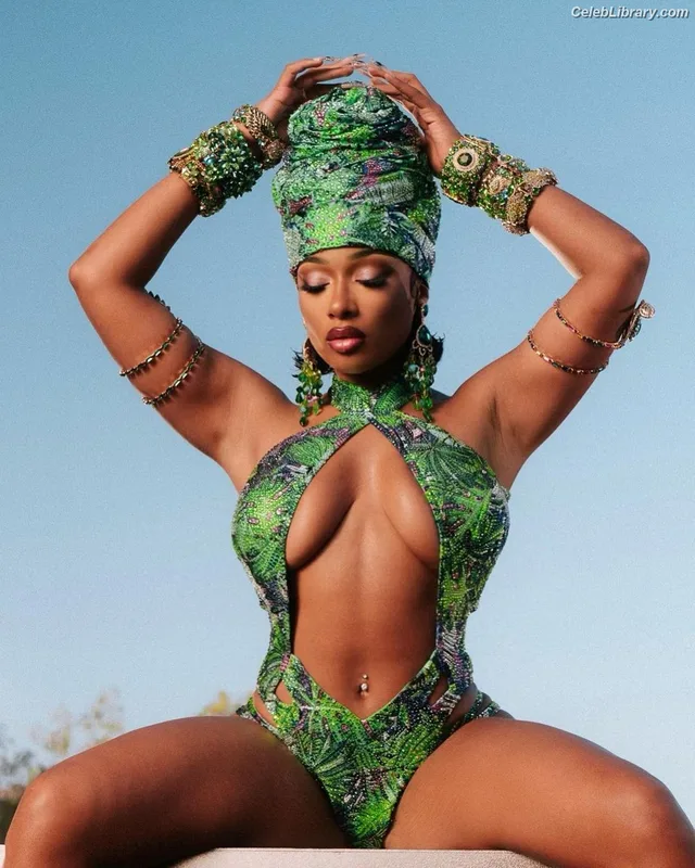 Megan Thee Stallion photo 14 of 1985