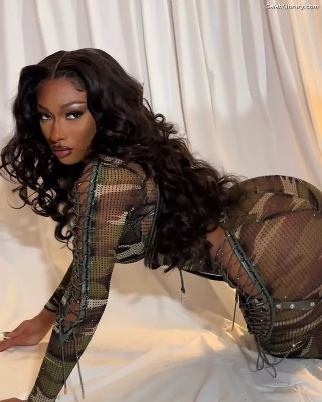 Megan Thee Stallion photo 23 of 1985