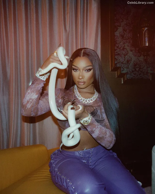 Megan Thee Stallion photo 9 of 1985