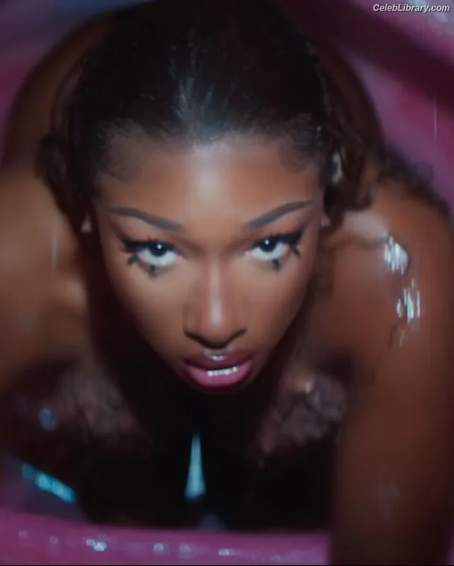 Megan Thee Stallion photo 23 of 1985