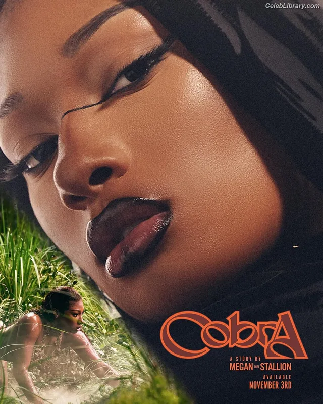 Megan Thee Stallion photo 5 of 1985