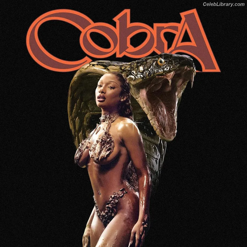Megan Thee Stallion photo 9 of 1985