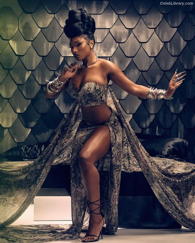 Megan Thee Stallion photo 15 of 1985