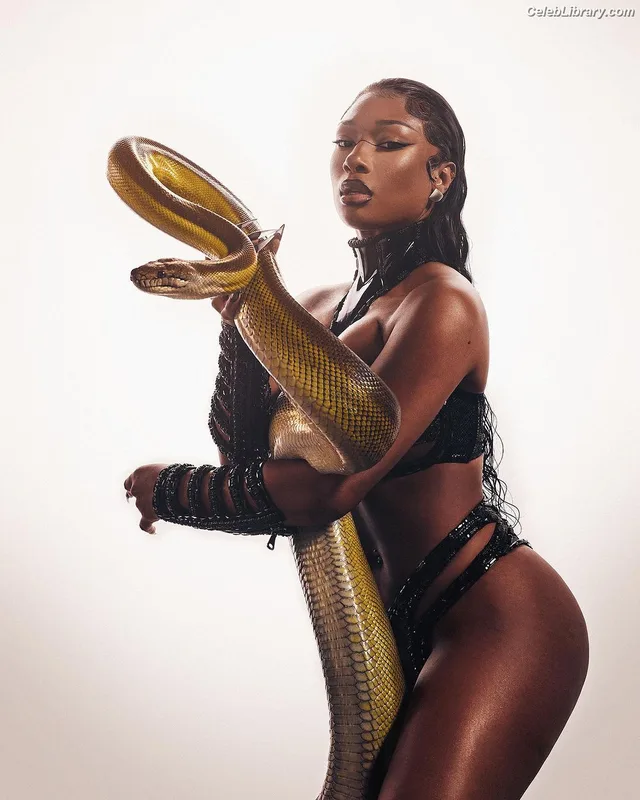 Megan Thee Stallion photo 1 of 1985