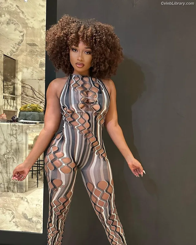 Megan Thee Stallion photo 11 of 1985