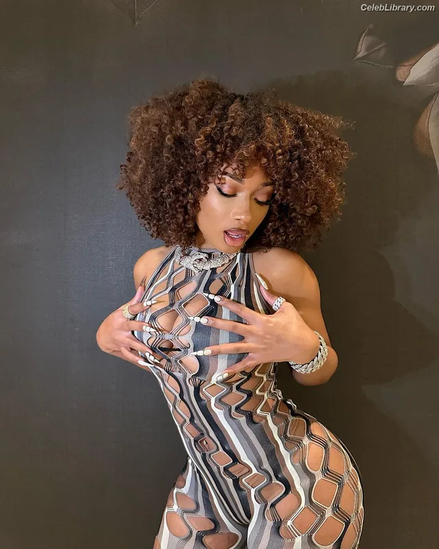 Megan Thee Stallion photo 12 of 1985