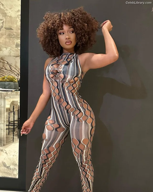 Megan Thee Stallion photo 13 of 1985