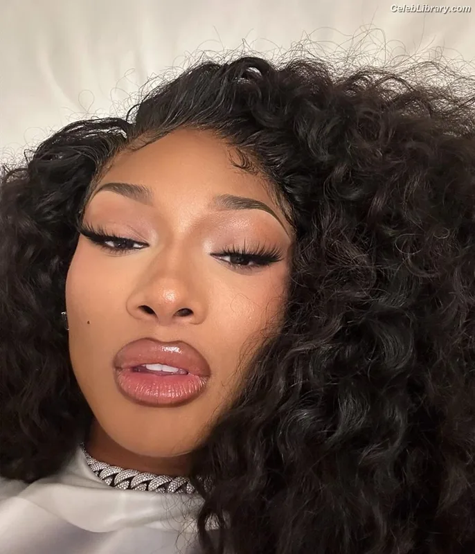 Megan Thee Stallion photo 19 of 1985
