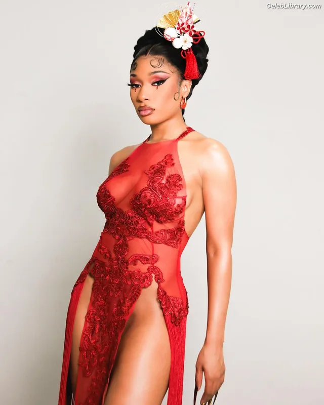 Megan Thee Stallion photo 4 of 1985