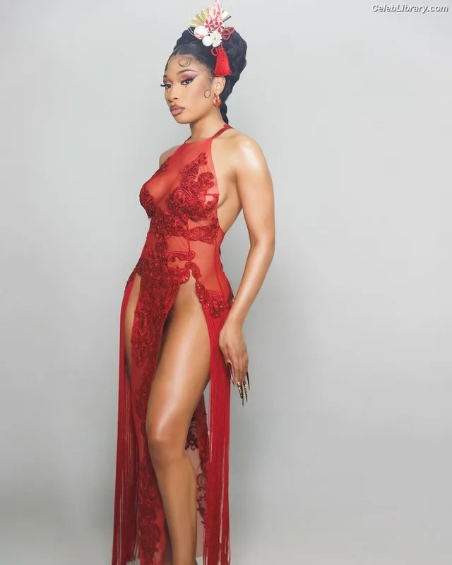 Megan Thee Stallion photo 6 of 1985