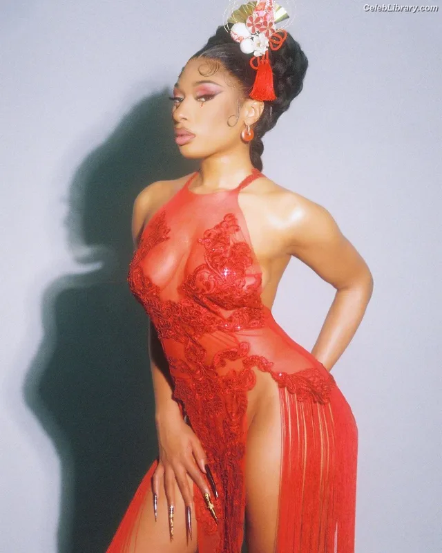 Megan Thee Stallion photo 10 of 1985
