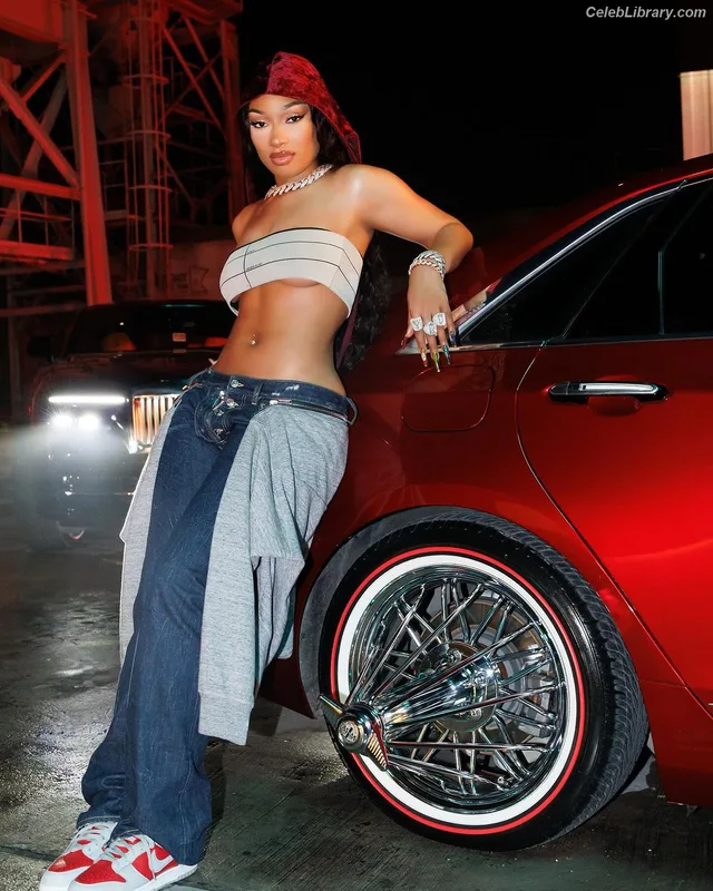 Megan Thee Stallion photo 14 of 1985