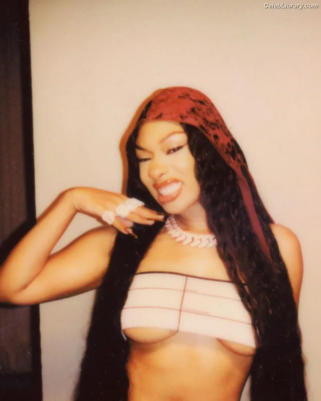 Megan Thee Stallion photo 18 of 1985