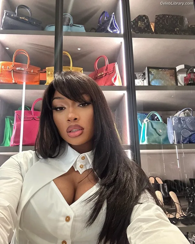 Megan Thee Stallion photo 22 of 1985