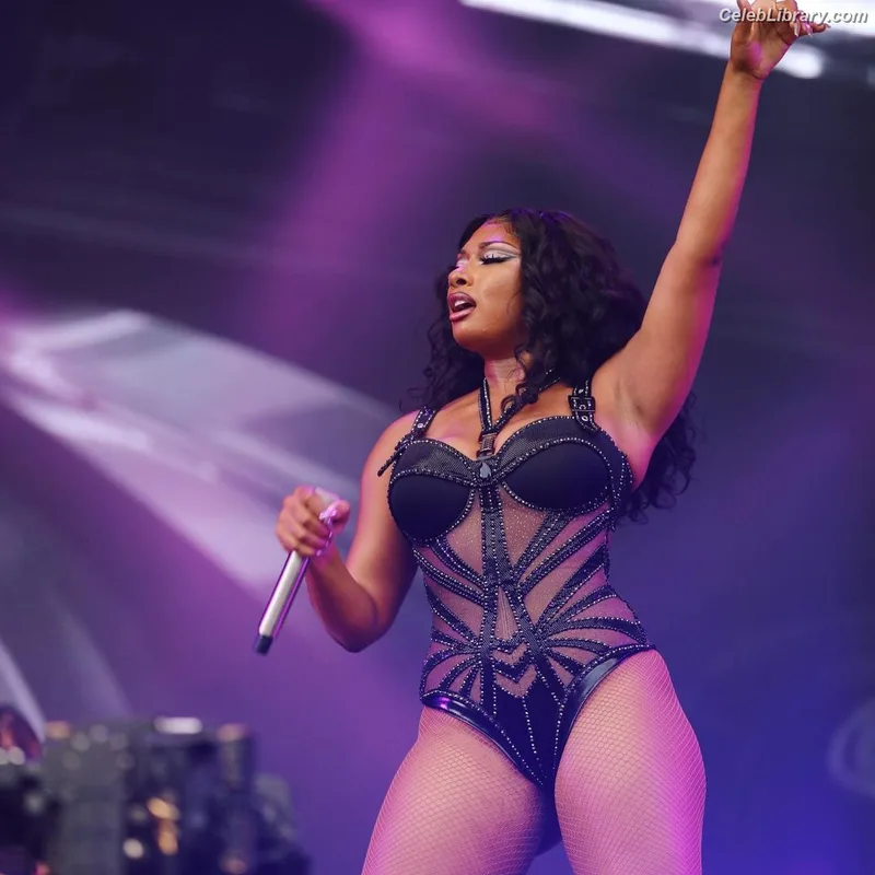 Megan Thee Stallion photo 14 of 1985