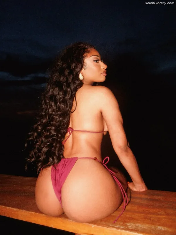 Megan Thee Stallion photo 3 of 1985