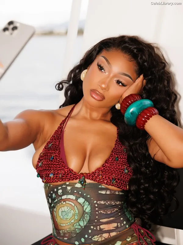 Megan Thee Stallion photo 4 of 1985