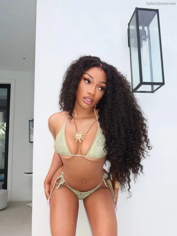Megan Thee Stallion photo 7 of 1985