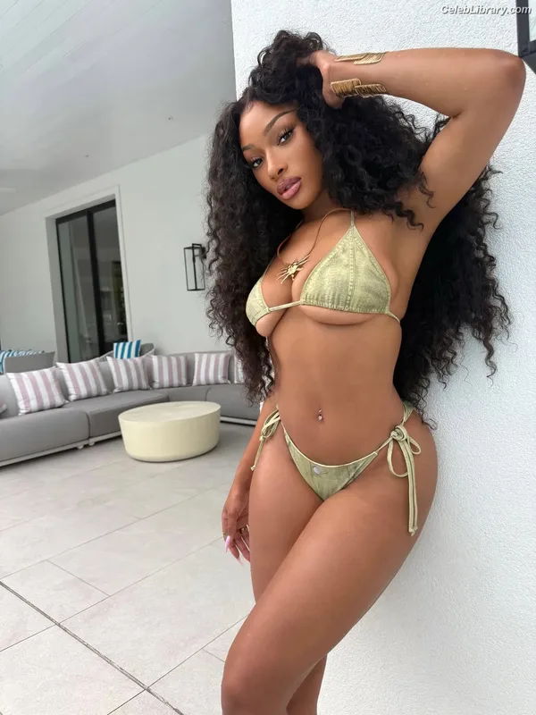 Megan Thee Stallion photo 13 of 1985