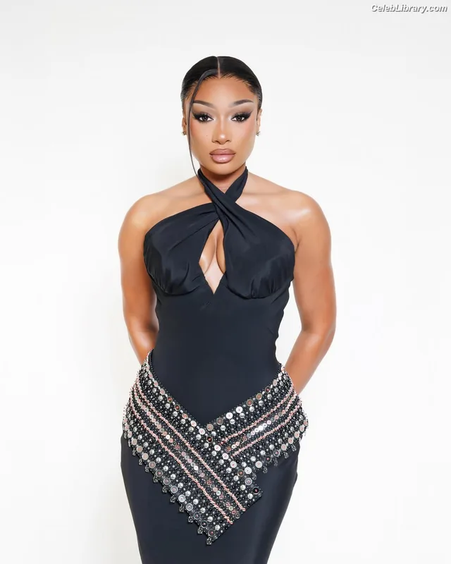 Megan Thee Stallion photo 22 of 1985