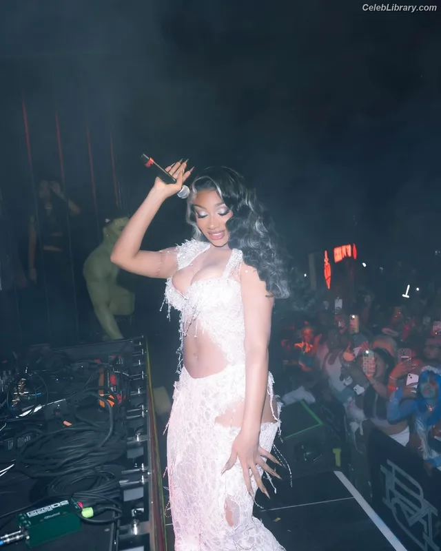 Megan Thee Stallion photo 5 of 1985