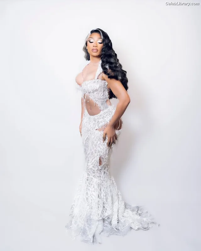 Megan Thee Stallion photo 14 of 1985