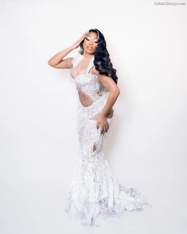 Megan Thee Stallion photo 5 of 1985