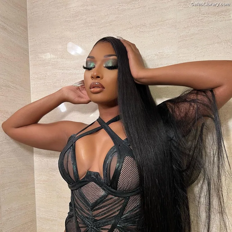 Megan Thee Stallion photo 5 of 1985