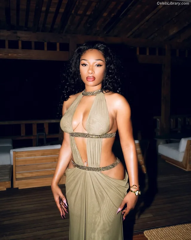 Megan Thee Stallion photo 9 of 1985