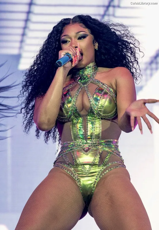 Megan Thee Stallion photo 24 of 1985