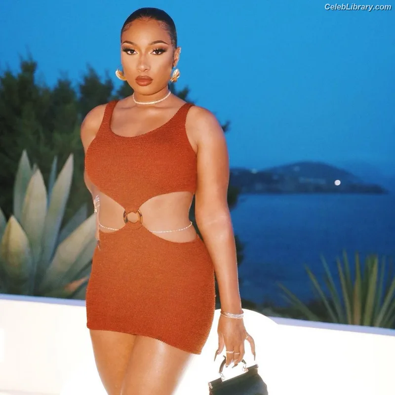Megan Thee Stallion photo 5 of 1985