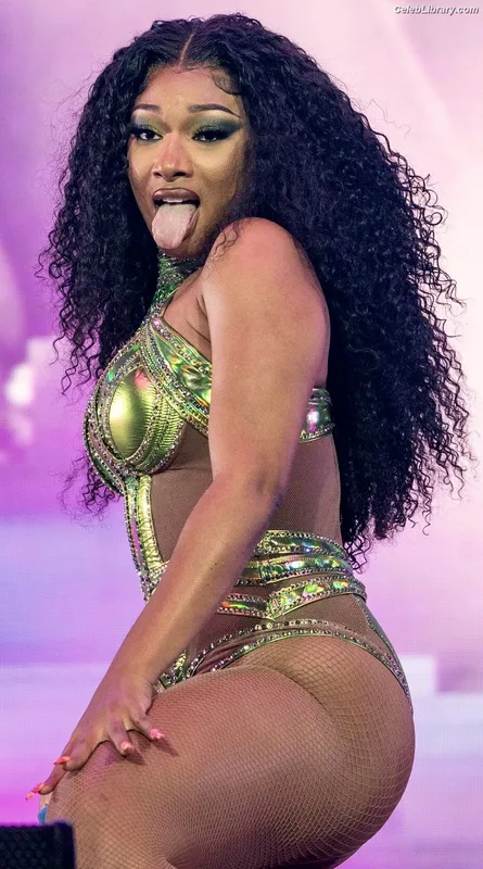 Megan Thee Stallion photo 5 of 1985