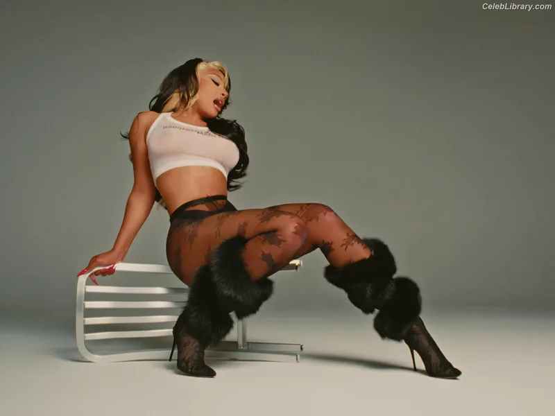 Megan Thee Stallion photo 22 of 1985