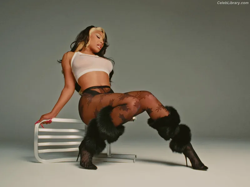 Megan Thee Stallion photo 23 of 1985