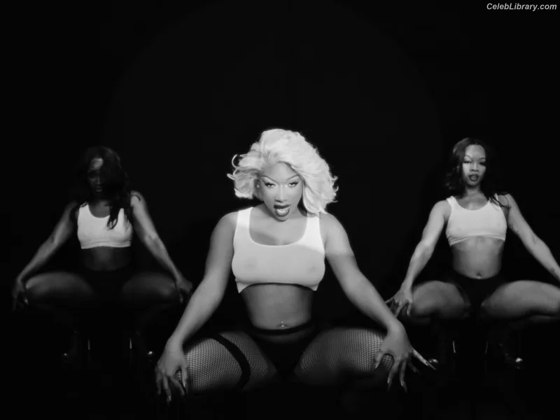 Megan Thee Stallion photo 10 of 1985