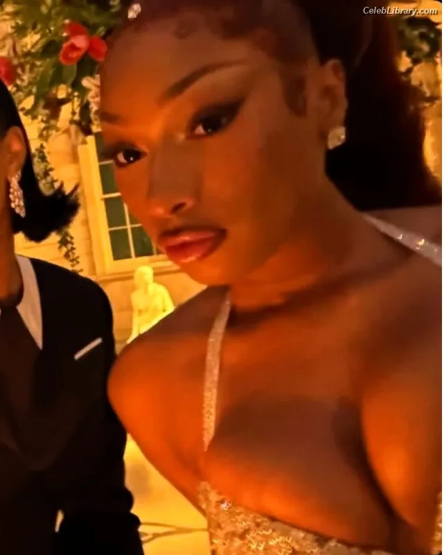 Megan Thee Stallion photo 14 of 1985