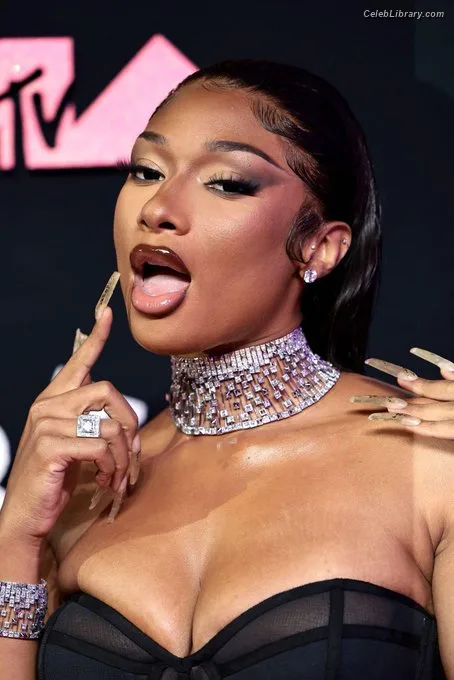 Megan Thee Stallion photo 19 of 1985