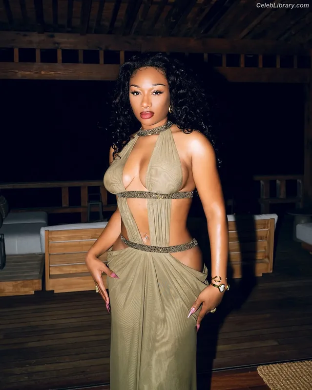 Megan Thee Stallion photo 15 of 1985