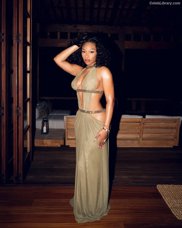 Megan Thee Stallion photo 17 of 1985
