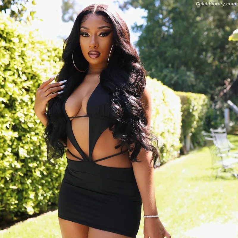 Megan Thee Stallion photo 24 of 1985